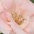 Ružičasta - Floribunda ruže - Régen